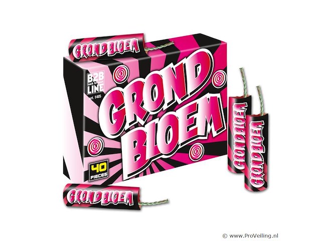 10x grondbloem 40 stuks - afbeelding 1 van  1