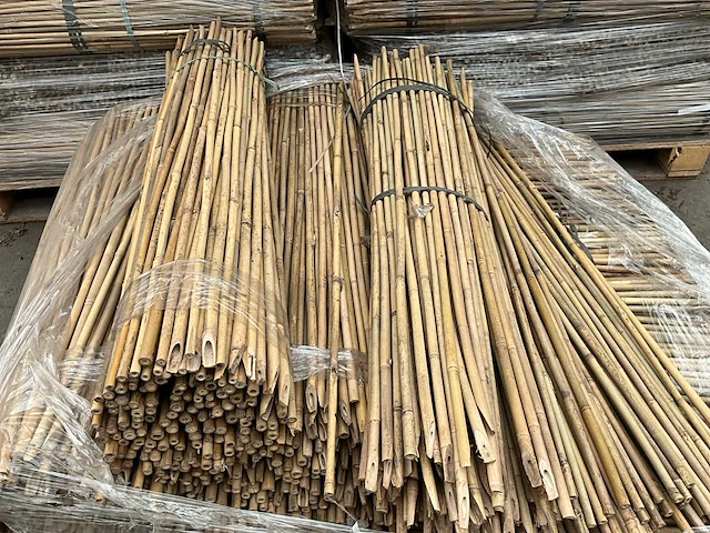 1100x ø12/14 mm tonkin plantstokken (10.000) (8x) - afbeelding 1 van  5