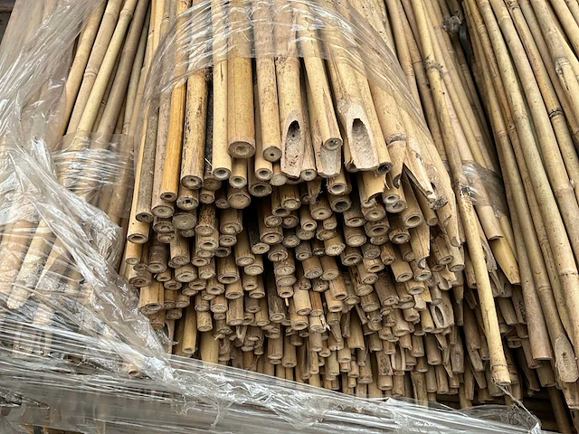 1100x ø12/14 mm tonkin plantstokken (10.000) (8x) - afbeelding 2 van  5