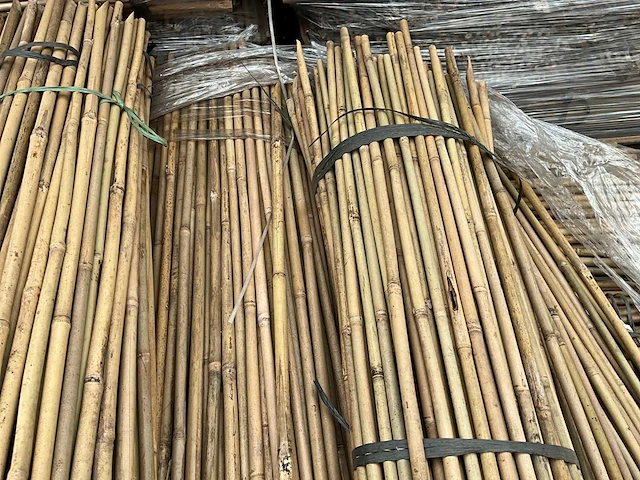 1100x ø12/14 mm tonkin plantstokken (10.000) (8x) - afbeelding 3 van  5