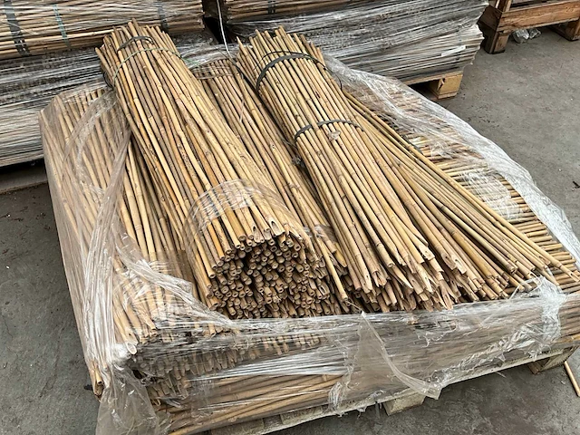 1100x ø12/14 mm tonkin plantstokken (10.000 stuks) (8x) - afbeelding 1 van  4