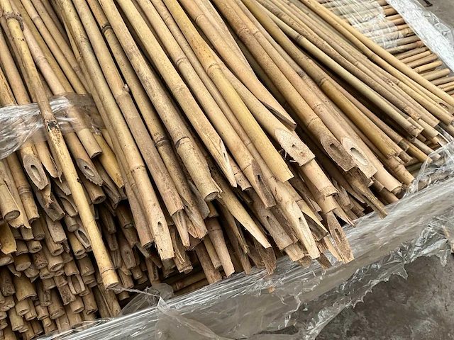 1100x ø12/14 mm tonkin plantstokken (10.000 stuks) (8x) - afbeelding 2 van  4