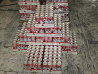 12 x 24 blikken bacardi cola 0,25cl. tht 1-2027. bod inclusief statiegeldwaarde van 43,20 euro. - afbeelding 1 van  3