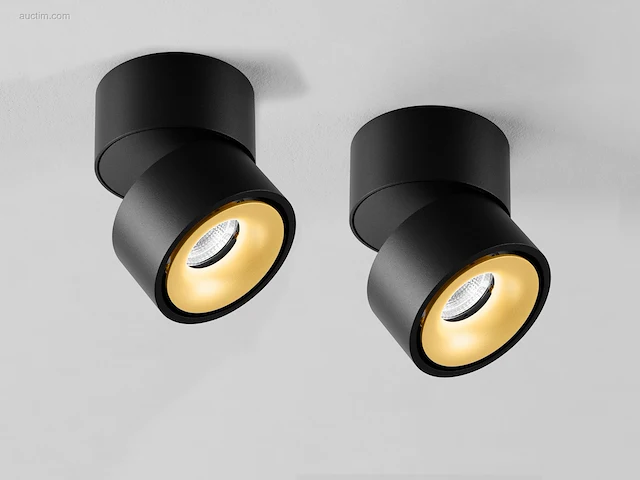 12 x gio 1.0 kantelbare design spot zwart/goud - afbeelding 8 van  8
