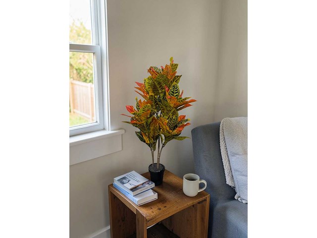120 leaves, 6 branches croton plant (2x) - afbeelding 1 van  3