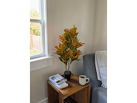 120 leaves, 6 branches croton plant (2x) - afbeelding 2 van  8