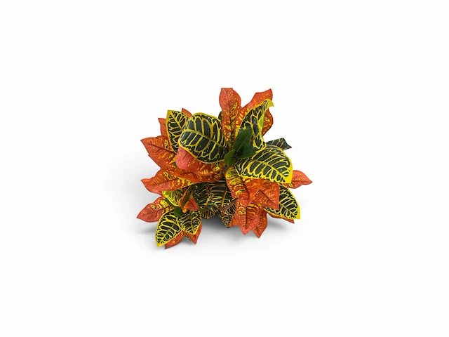 120 leaves, 6 branches croton plant (2x) - afbeelding 6 van  8