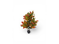 120 leaves, 6 branches croton plant (5x) - afbeelding 4 van  8