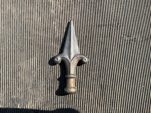 120x55x ø20 mm hekpunt (4050x) - afbeelding 1 van  3