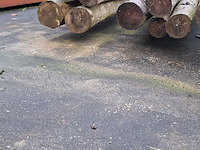 12x houten ronde paal - afbeelding 4 van  9