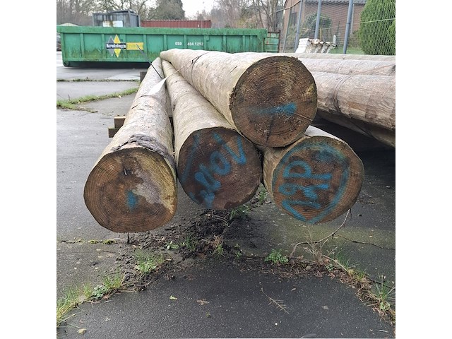 12x houten ronde paal - afbeelding 5 van  9