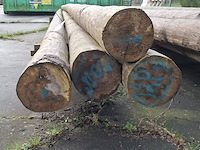 12x houten ronde paal - afbeelding 5 van  9