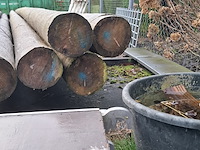 12x houten ronde paal - afbeelding 7 van  9