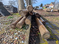 12x ronde houten paal - afbeelding 3 van  6