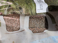 12x zak hydrokorrels a 20 liter dcm - afbeelding 5 van  5