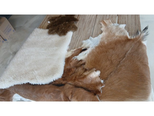 1330x huis decoratie spullen , countryfield, zwart, 2025 - afbeelding 25 van  42