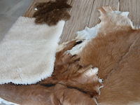 1330x huis decoratie spullen , countryfield, zwart, 2025 - afbeelding 25 van  42