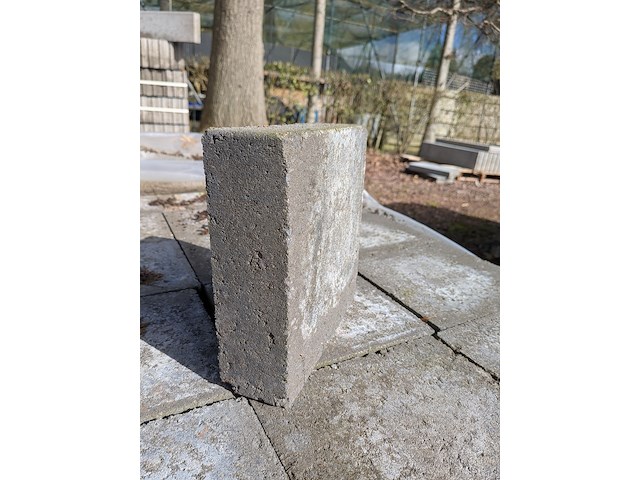 135x tuintegel - afbeelding 3 van  4