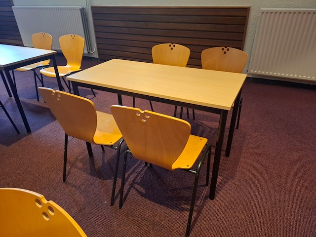 13x kantinetafel met 42 stoelen - afbeelding 4 van  4