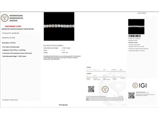 14 karaat geelgouden armband met 10,02 crt. diamant - afbeelding 2 van  8