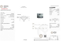 14 karaat geelgouden ring met 4,08 crt. diamant - afbeelding 2 van  6