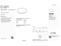 14 karaat witgouden armband met 5,56 crt. diamant - afbeelding 1 van  3