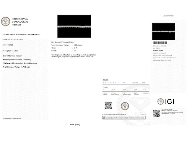 14 karaat witgouden armband met 5,72 crt. diamant - afbeelding 2 van  6