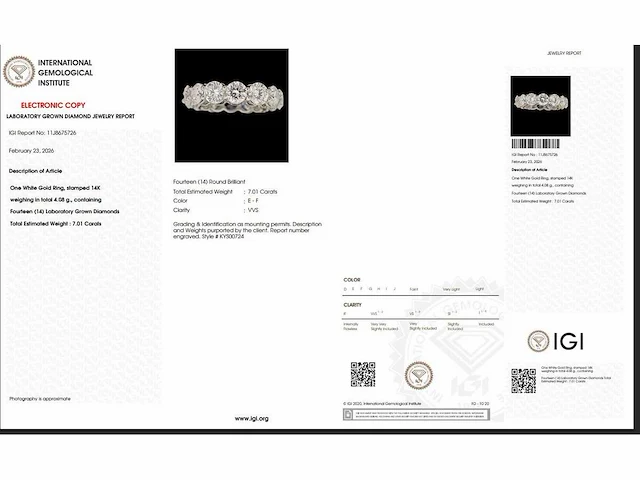 14 karaat witgouden eeuwigheidsring met 7,01 ct. diamant - afbeelding 2 van  9