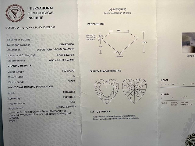 14 karaat witgouden kettinghanger met 1,02 ct diamant - afbeelding 3 van  10