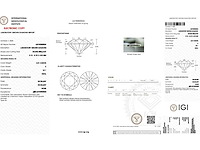14 karaat witgouden oorstekers met 4,02 ct. diamant - afbeelding 2 van  9