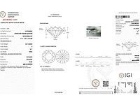 14 karaat witgouden oorstekers met 4,02 ct. diamant - afbeelding 3 van  9