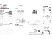 14 karaat witgouden oorstekers met 4,02 ct. diamant - afbeelding 5 van  9