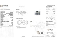 14 karaat witgouden oorstekers met 4,04 crt. diamant - afbeelding 4 van  7