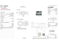 14 karaat witgouden oorstekers met 4,04 crt. diamant - afbeelding 3 van  7