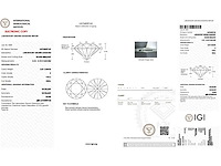 14 karaat witgouden oorstekers met 4,13 ct. diamant - afbeelding 3 van  8