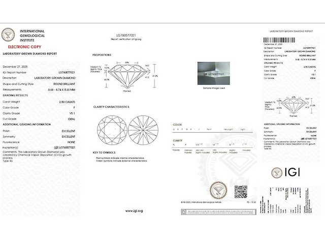 14 karaat witgouden oorstekers met 5,00 diamant - afbeelding 2 van  5