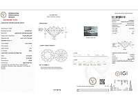 14 karaat witgouden oorstekers met 5,00 diamant - afbeelding 2 van  5