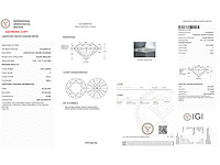 14 karaat witgouden oorstekers met 6,00 crt diamant - afbeelding 3 van  7