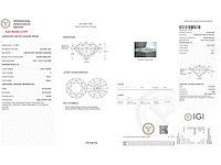 14 karaat witgouden oorstekers met 6,00 crt diamant - afbeelding 4 van  7