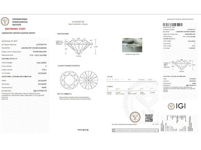 14 karaat witgouden ring met 3,04 crt diamant - afbeelding 2 van  9