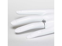 14 karaat witgouden ring met 3,04 ct. diamant - afbeelding 1 van  6