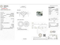 14 karaat witgouden ring met 3,05 ct. diamant - afbeelding 2 van  8