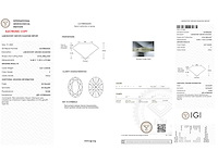 14 karaat witgouden ring met 8,07 crt. diamant - afbeelding 2 van  6