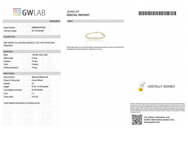 14 krt. geelgouden armband met 8,18 crt. diamant naturel - afbeelding 2 van  5