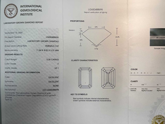 14 krt wit gouden ring met diamant 5,09 crt - afbeelding 3 van  7
