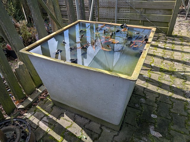 15x waterkuip - afbeelding 3 van  13