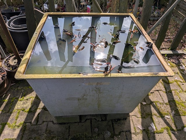 15x waterkuip - afbeelding 4 van  13