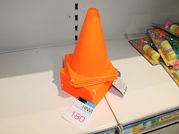 16 pionnen