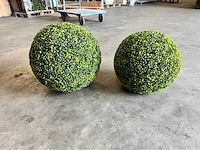 1628-1629 buxus bol (2x)