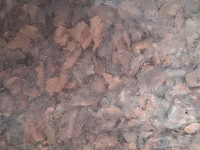 17x zak cacaodoppen a 50 liter dcm - afbeelding 2 van  6